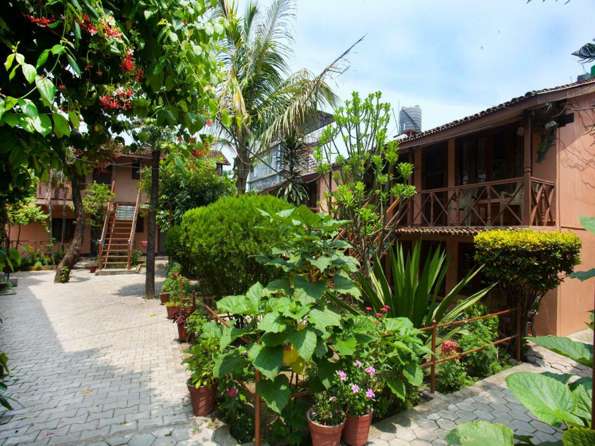 Spot On 486 Hotel Holy Lodge Sauraha Exteriör bild